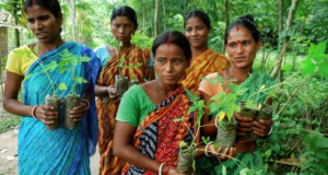 The Indian Village Celebrating The Girl Child With Eco-Feminism Project