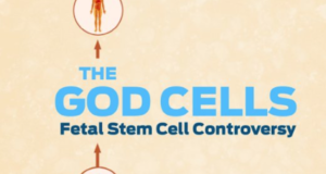 Can Fetal Stem Cell Research Cure Diseases? ‘The God Cells’ Docu Answers This Question