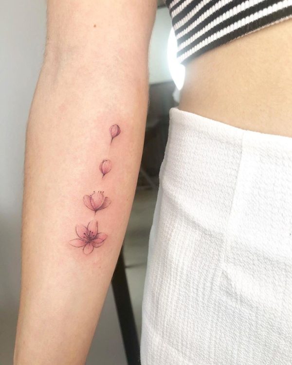 cherry blossom and butterfly tattoo on the backTikTok Search